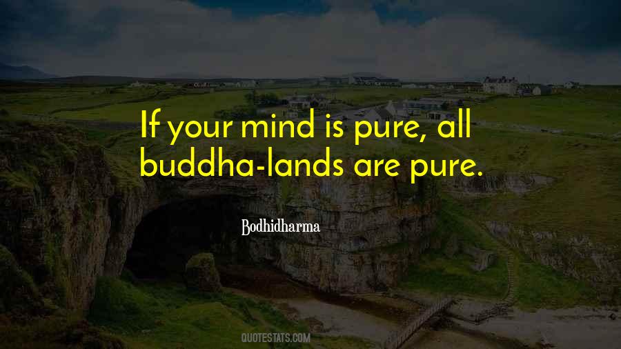 Bodhidharma's Quotes #1457530
