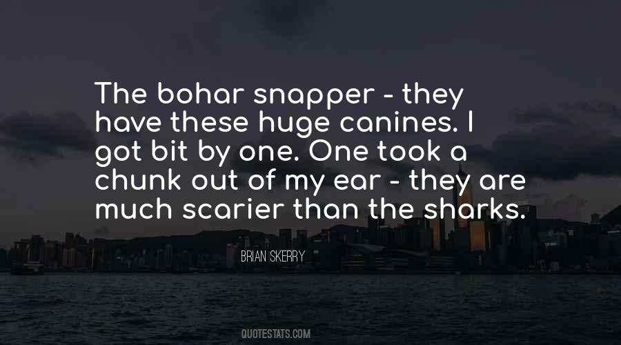 Bohar Quotes #865597