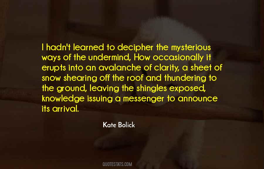 Bolick Quotes #291617