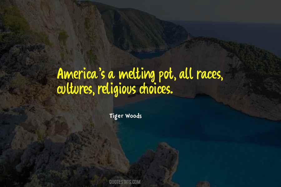 Quotes About America Melting Pot #502862