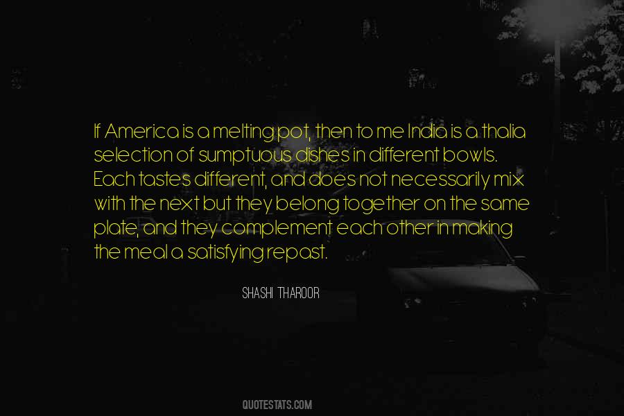 Quotes About America Melting Pot #540812