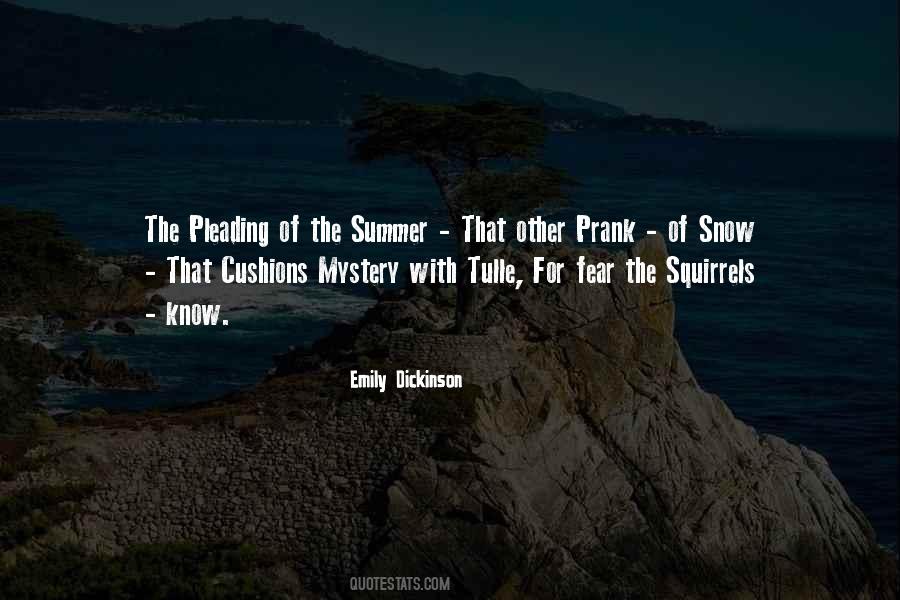 Bolo Quotes #1506416