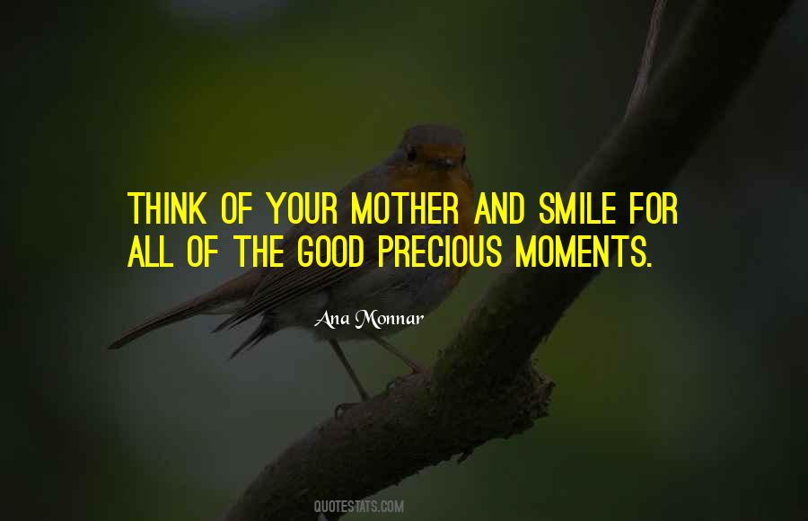 Quotes About Precious Moments #509154