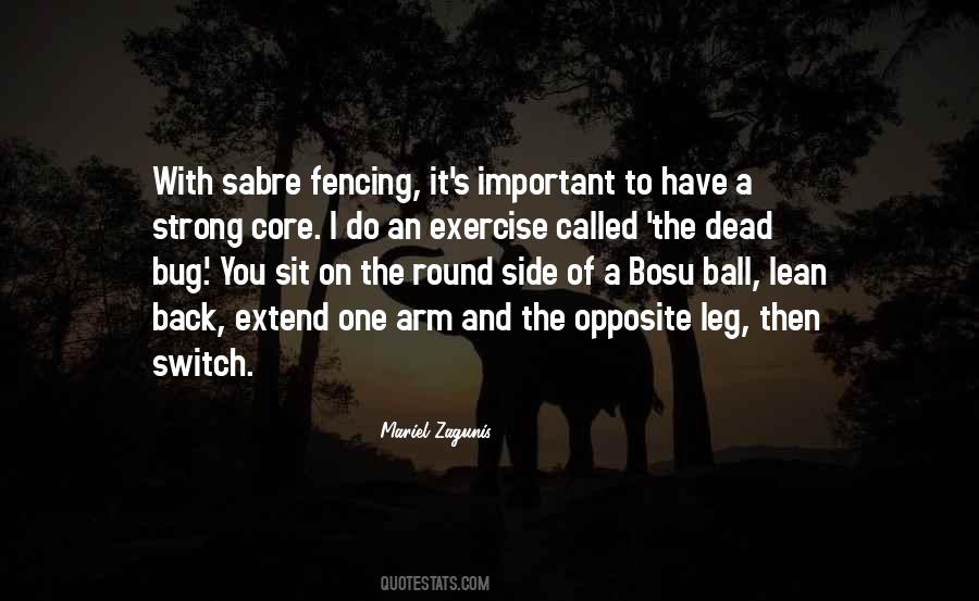 Bosu Quotes #1138207