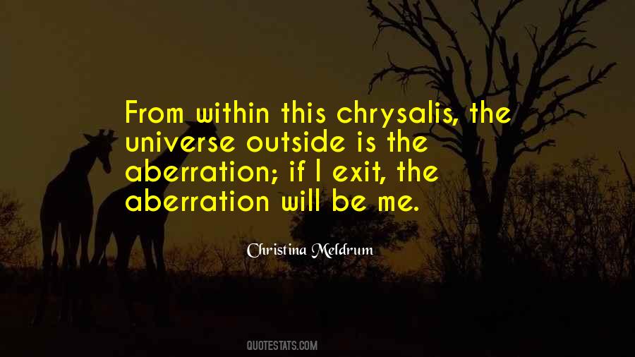 Boucan Quotes #1031064