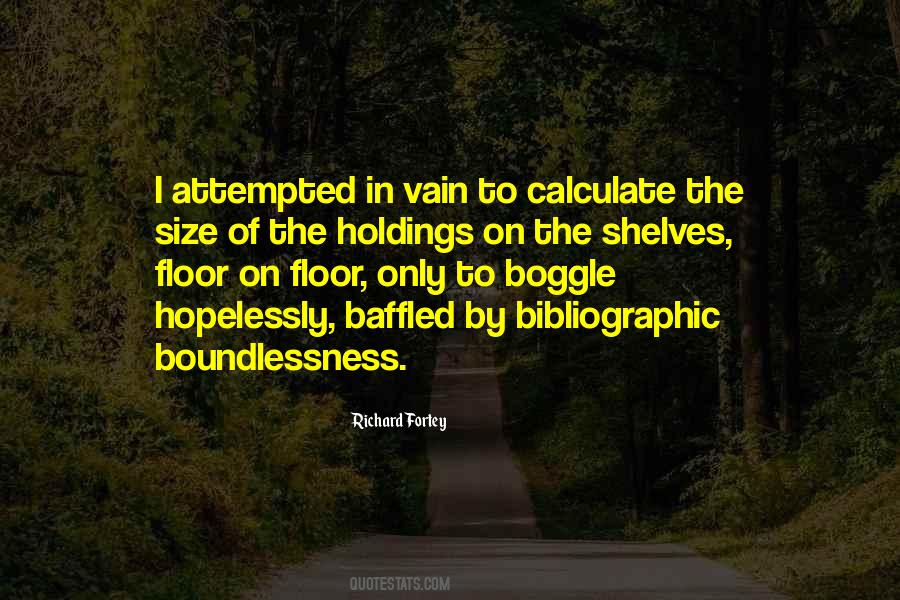 Boundlessness Quotes #1304980