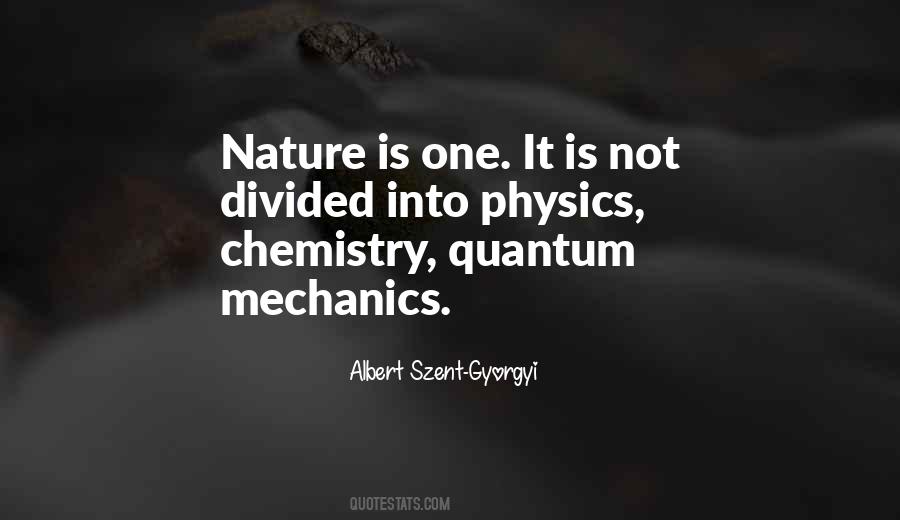 Quotes About Quantum Mechanics #290338