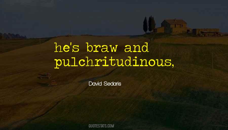 Braw Quotes #649537