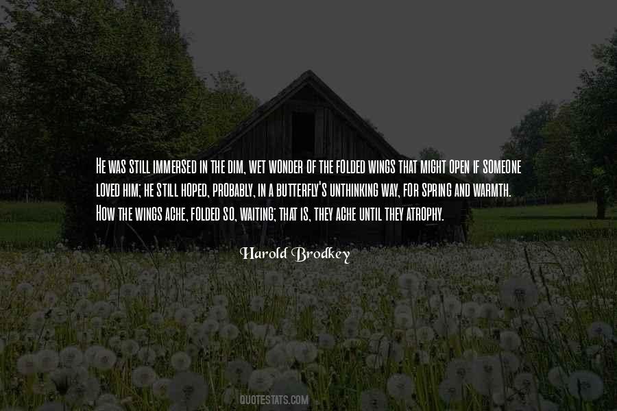 Brodkey Quotes #487492