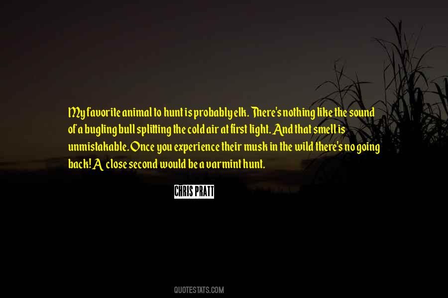 Bugling Quotes #513071