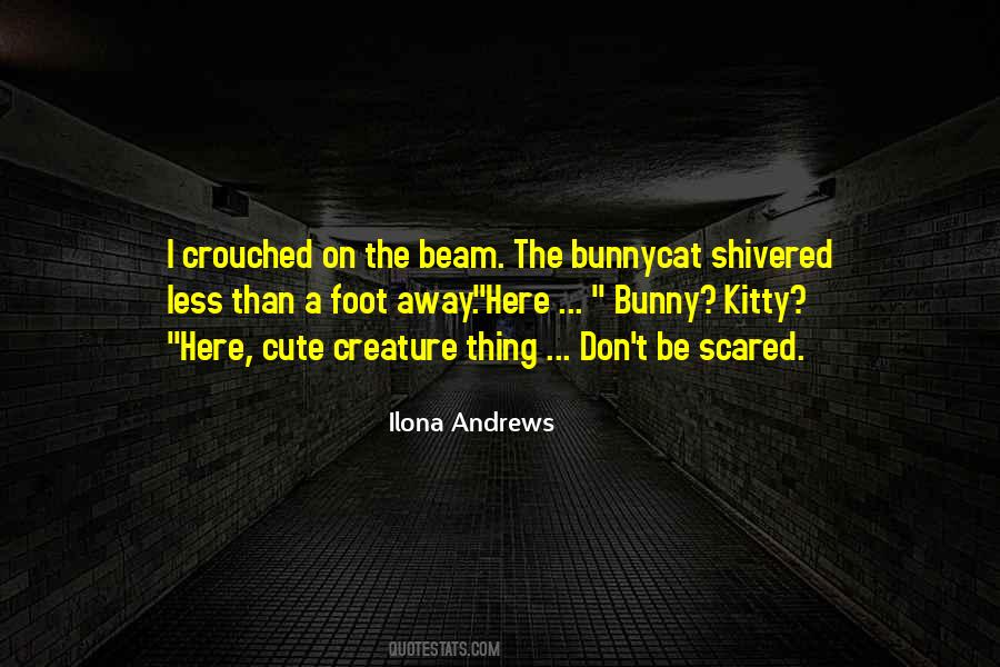 Bunnycat Quotes #791075