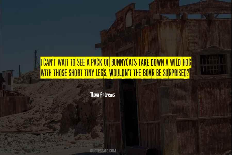 Bunnycats Quotes #867722