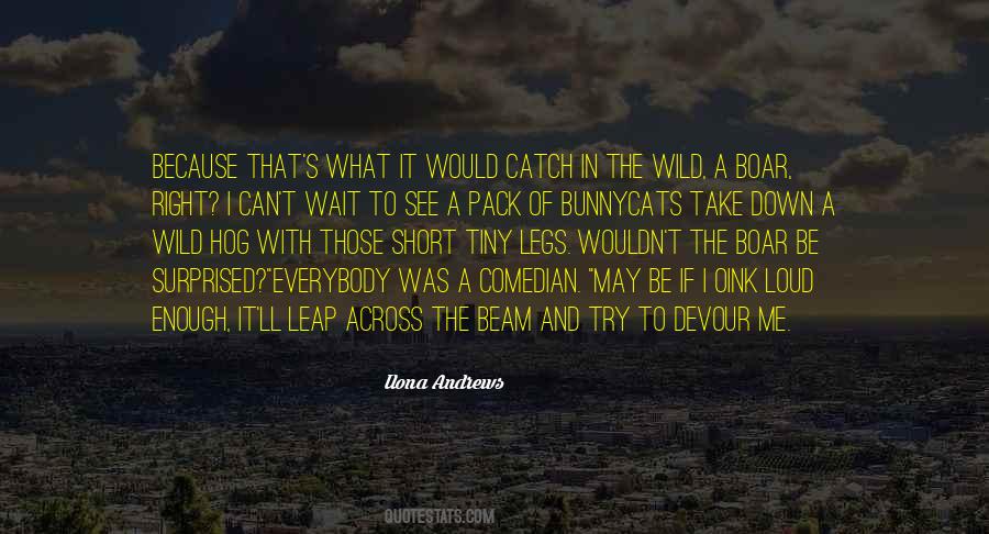 Bunnycats Quotes #875304