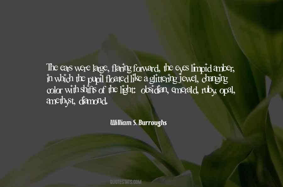 Burroughs's Quotes #223961