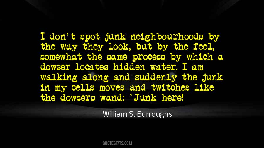 Burroughs's Quotes #271766