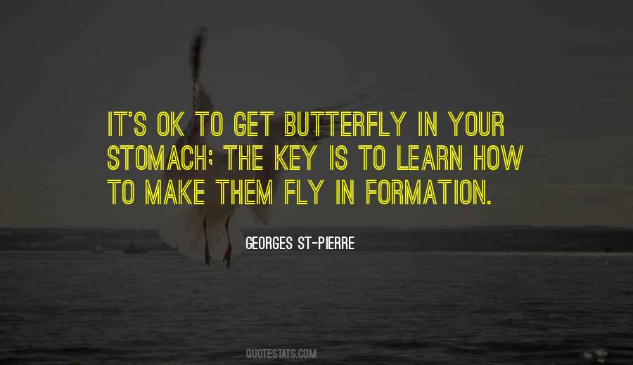 Butterfly's Quotes #40754