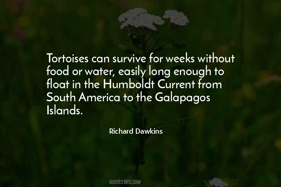 Quotes About Tortoises #1569231