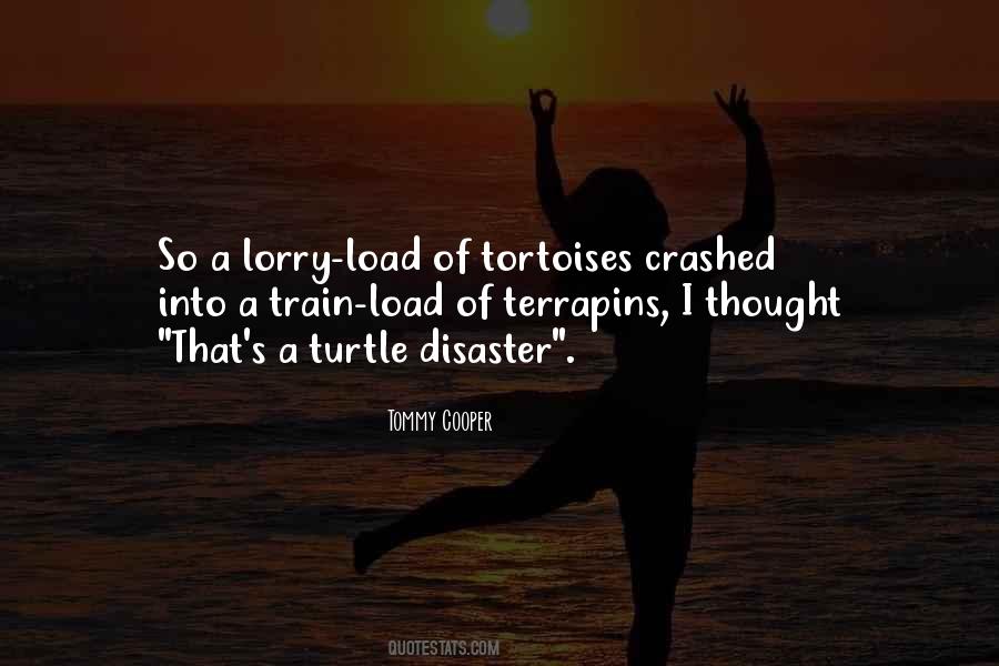 Quotes About Tortoises #451591