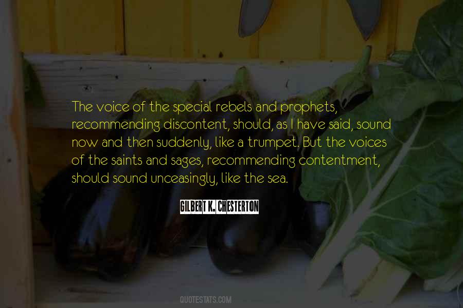 Quotes About Voices #1508698