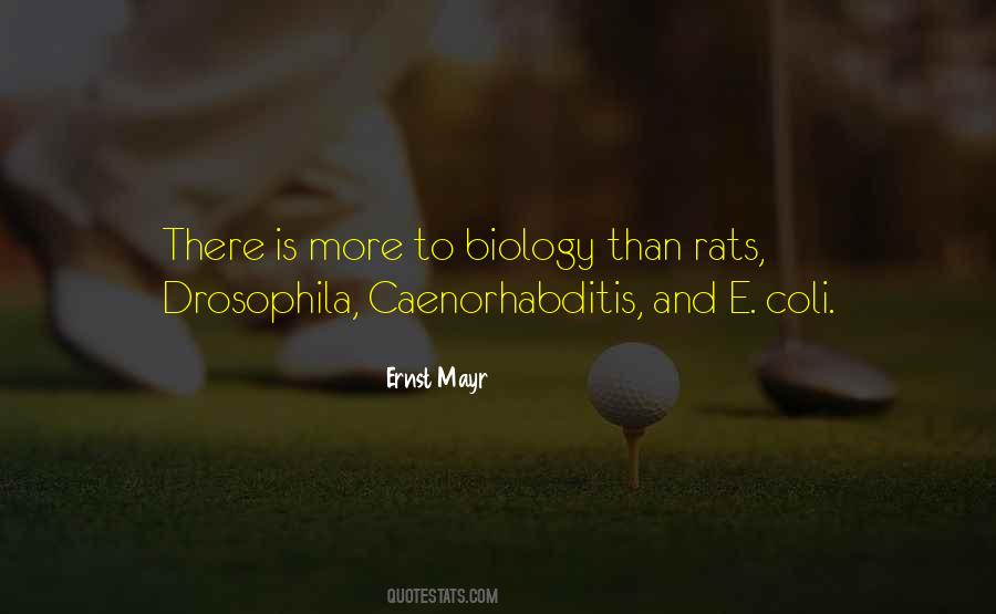 Caenorhabditis Quotes #559291