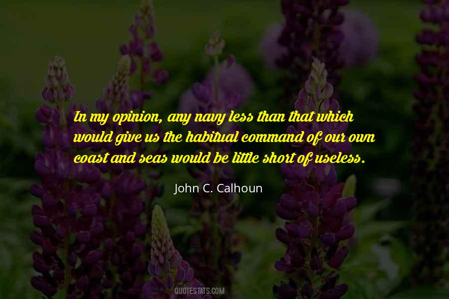 Calhoun's Quotes #1046584