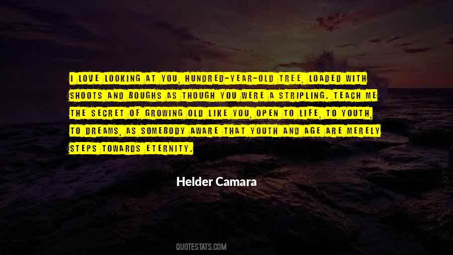 Camara Quotes #155805