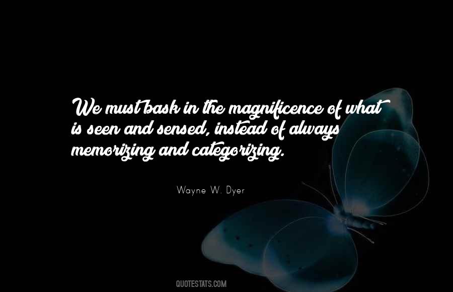 Quotes About Magnificence #782845