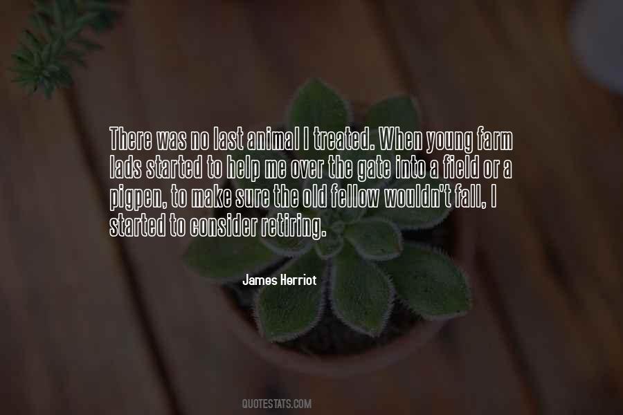 Quotes About Animal Farm #1631110