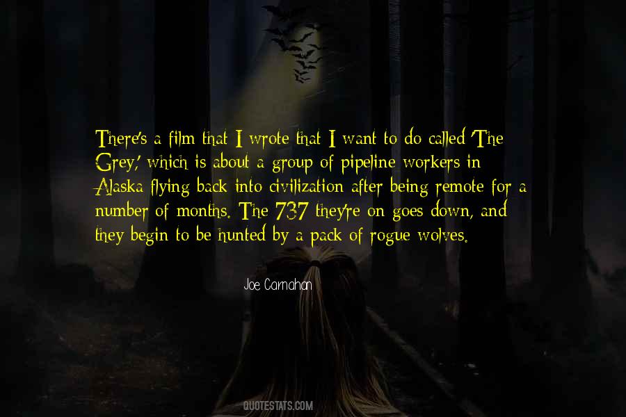 Carnahan Quotes #349400 Carnahan Quotes #349400