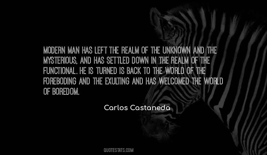Castaneda's Quotes #201830