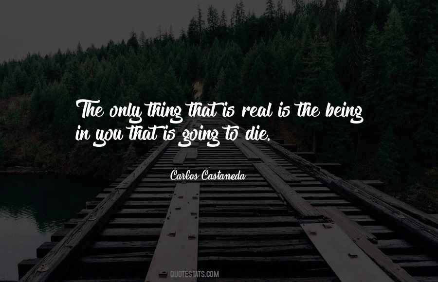 Castaneda's Quotes #765804