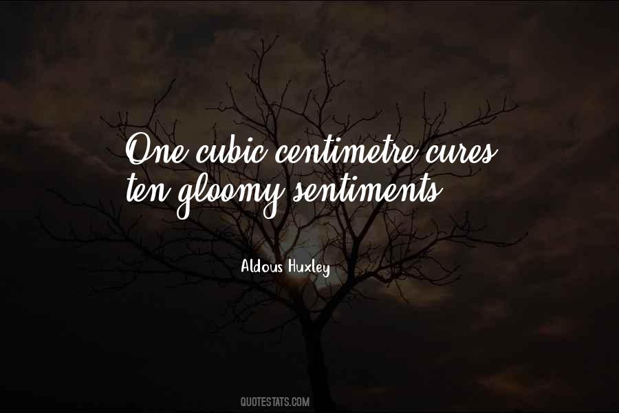 Centimetre Quotes #1845494