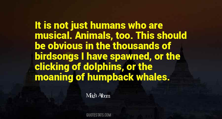 Quotes About Dolphins And Whales #1139109