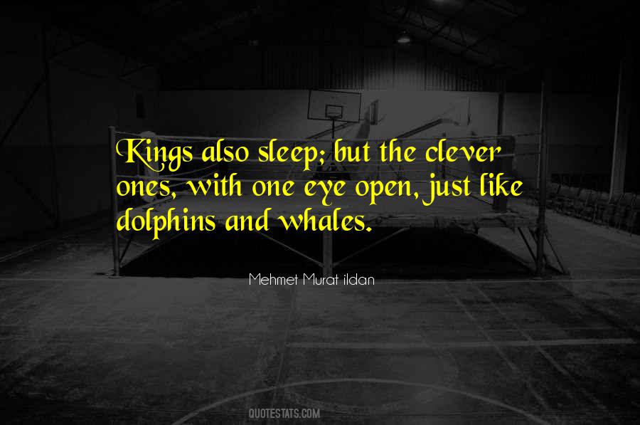 Quotes About Dolphins And Whales #1864559