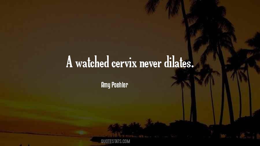 Cervix Quotes #1781064