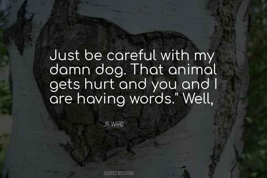Quotes About Be Careful #1157523
