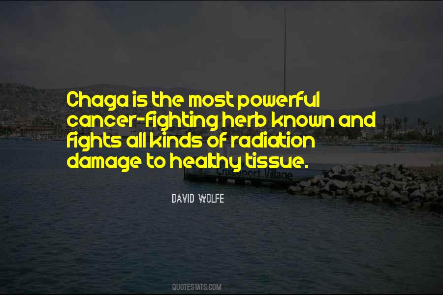Chaga Quotes #853067