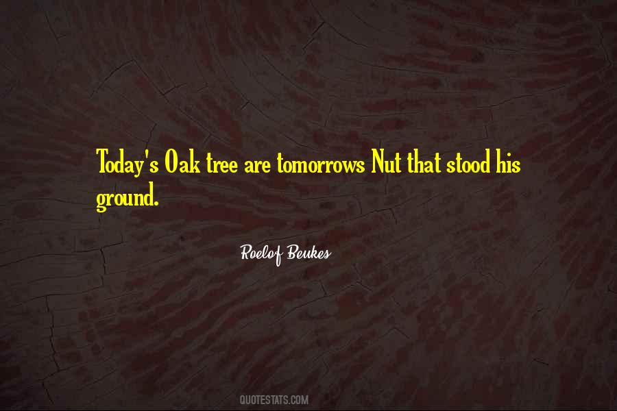 Chillout Quotes #1064370