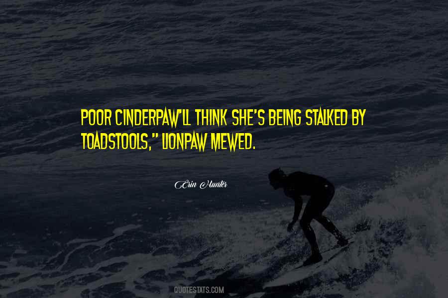 Cinderpaw Quotes #1695845