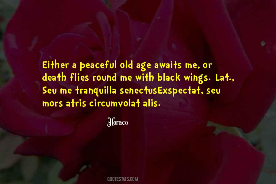 Circumvolat Quotes #733857