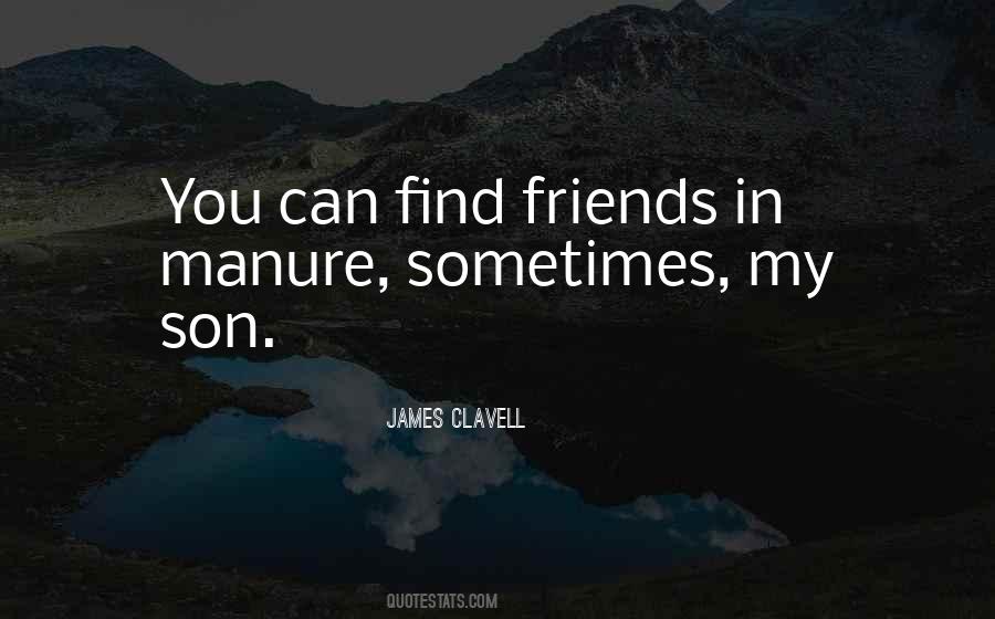 Quotes About Sometimes Friends #357697