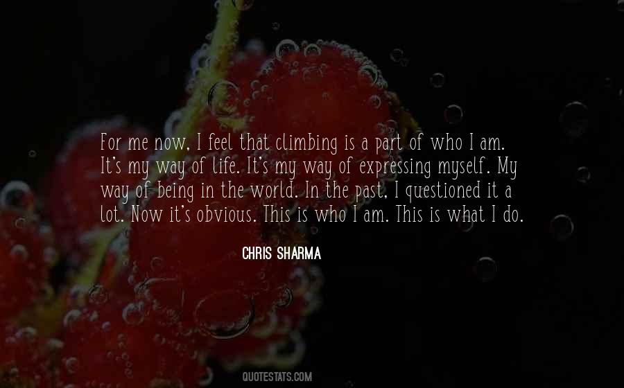 Climbing's Quotes #51427