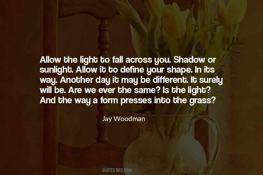 Quotes About Shadow And Light #65840