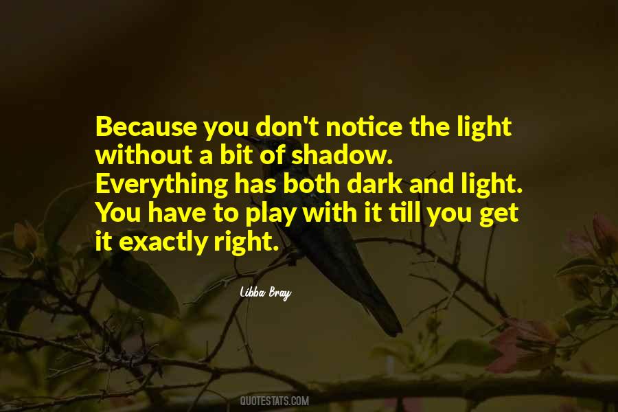 Quotes About Shadow And Light #692167