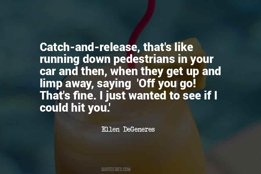 Quotes About Pedestrians #488805