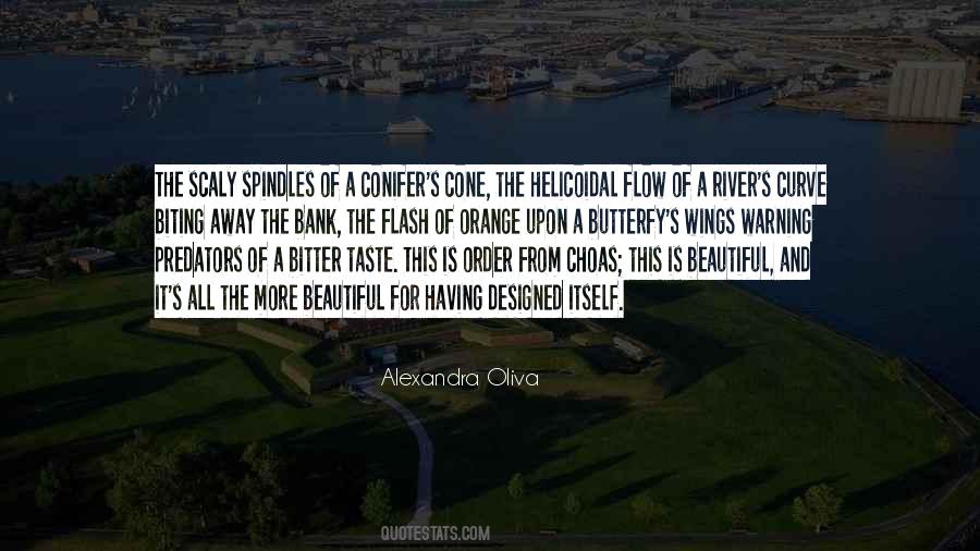 Conifer Quotes #138956