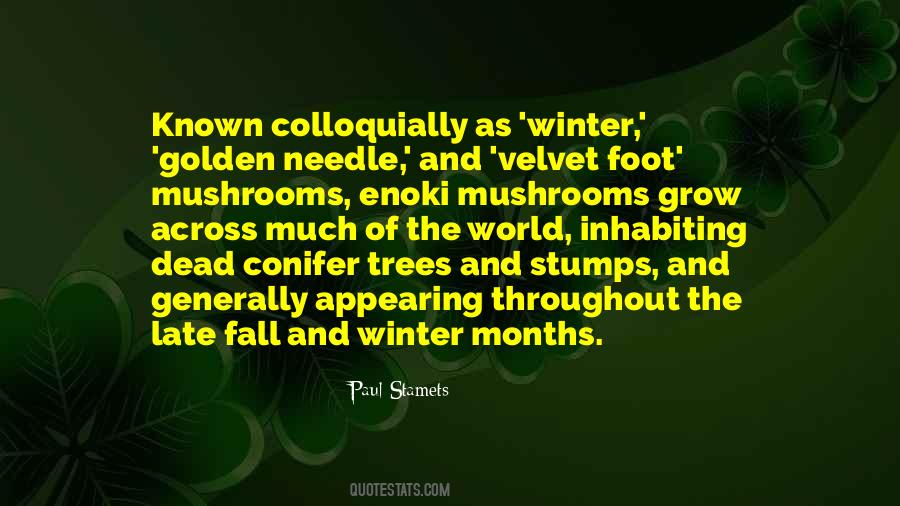 Conifer Quotes #1494395