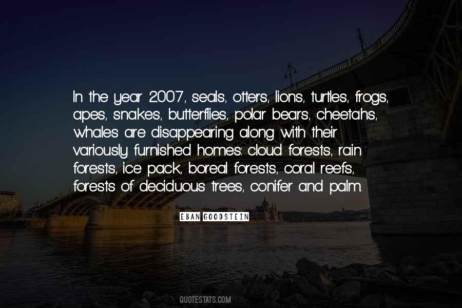 Conifer Quotes #796182