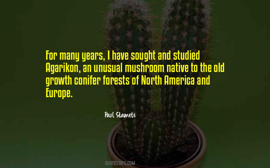 Conifer Quotes #832627