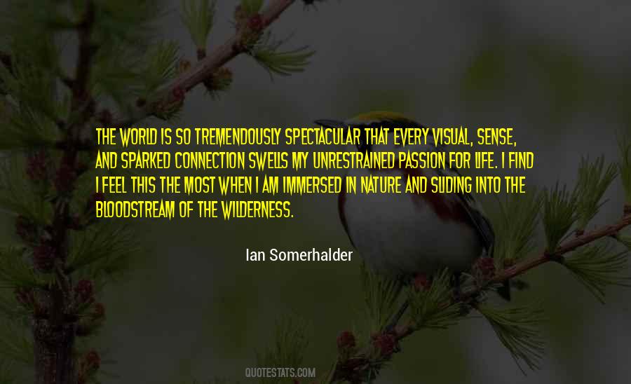Quotes About Somerhalder #1300753